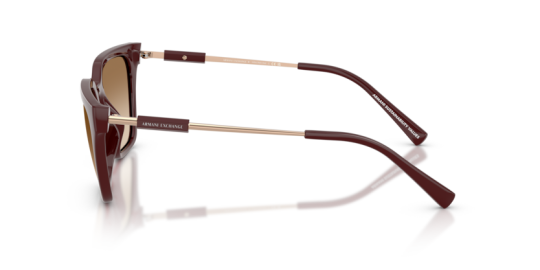 Armanı Exchange AX4158S-838389 Kadın Güneş Gözlüğü - 5