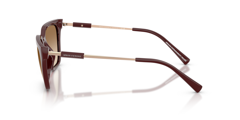 Armanı Exchange AX4158S-838389 Kadın Güneş Gözlüğü - 5