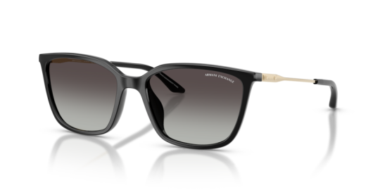 Armani Exchange AX4171SU-81588G Erkek Güneş Gözlüğü