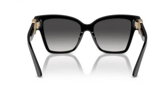 Dolce&Gabbana DG4470-501-8G Kadın Güneş Gözlüğü - 3