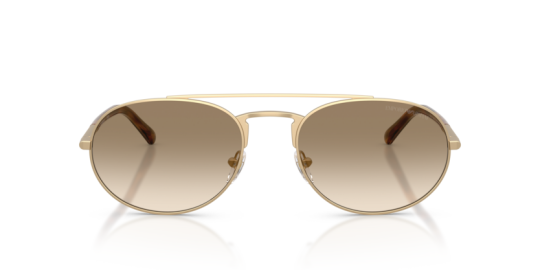 Emperio Armani 0EA2171-30021357 Unisex Güneş Gözlüğü - 4