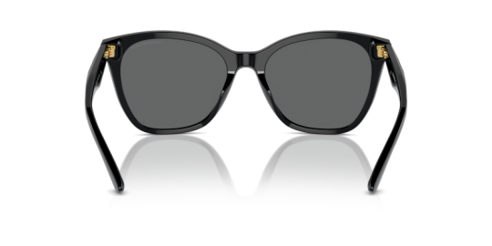 Emperio Armani 0EA4222U- 50178756 Unisex Güneş Gözlüğü - 2