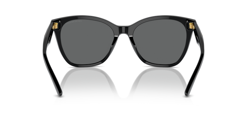 Emperio Armani 0EA4222U- 50178756 Unisex Güneş Gözlüğü - 2