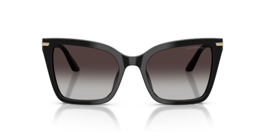 Emperio Armani 0EA4273BU- 50178G53 Erkek Güneş Gözlüğü - 4