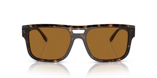 Emporio Armani EA4197-5879-83 Erkek Güneş Gözlüğü - 4