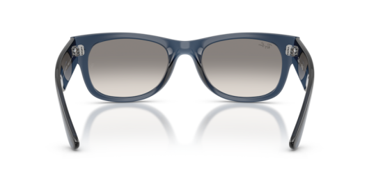 Ray-Ban 0RB0832S-68453255 Unisex Güneş Gözlüğü - 3