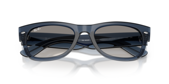 Ray-Ban 0RB0832S-68453255 Unisex Güneş Gözlüğü - 4