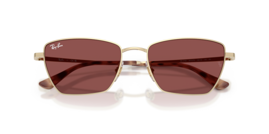Ray-Ban 0RB3783- 92137553 Kadın Güneş Gözlüğü - 3