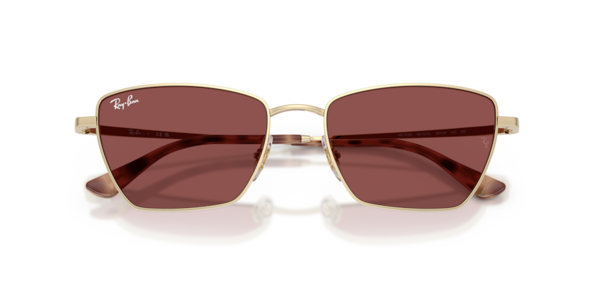 Ray-Ban 0RB3783- 92137553 Kadın Güneş Gözlüğü - 3