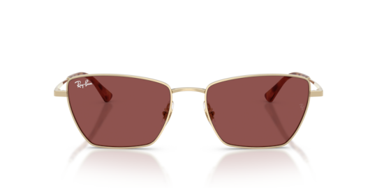 Ray-Ban 0RB3783- 92137553 Kadın Güneş Gözlüğü - 4