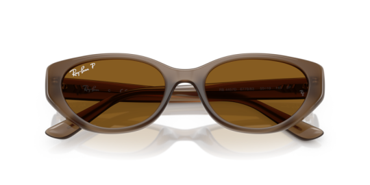 Ray-Ban 0RB4457D- 67798355 Kadın Güneş Gözlüğü - 4