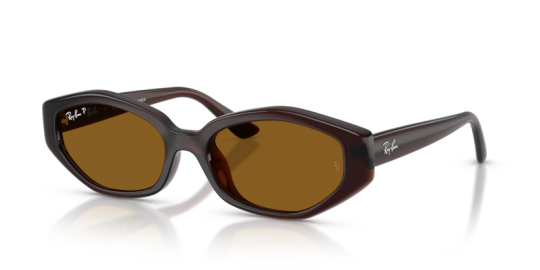 Ray-Ban 0RB4473D-714-8356 Kadın Güneş Gözlüğü