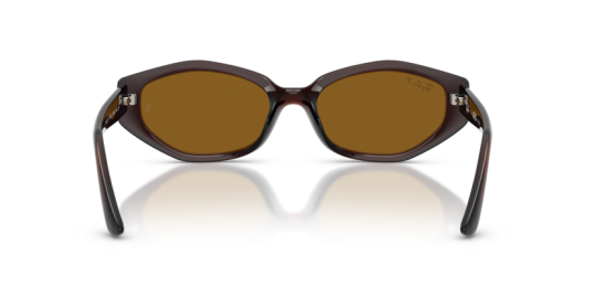 Ray-Ban 0RB4473D-714-8356 Kadın Güneş Gözlüğü - 3
