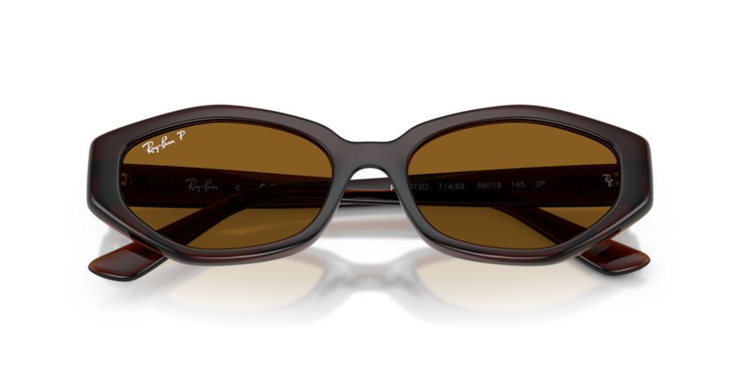 Ray-Ban 0RB4473D-714-8356 Kadın Güneş Gözlüğü - 4