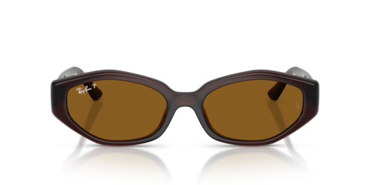 Ray-Ban 0RB4473D-714-8356 Kadın Güneş Gözlüğü - 5