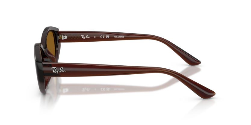 Ray-Ban 0RB4473D-714-8356 Kadın Güneş Gözlüğü - 6