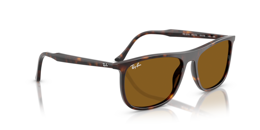 Ray-Ban RB2216-90233 Unısex Güneş Gözlüğü - 2