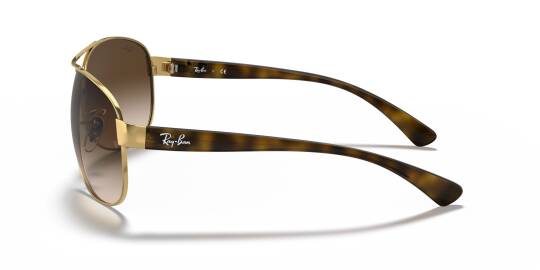 Ray Ban RB3386-001-13 Kadın Güneş Gözlüğü - 6