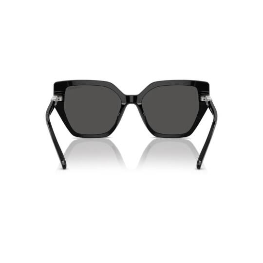 Swarovskı SK6016-1001-87 Kadın Güneş Gözlüğü - 3