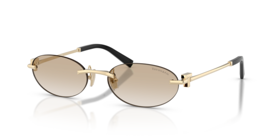 Tıffany&Co TF3119D-623911 Kadın Güneş Gözlüğü