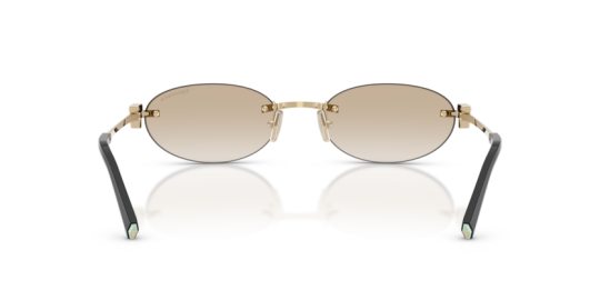 Tıffany&Co TF3119D-623911 Kadın Güneş Gözlüğü - 5