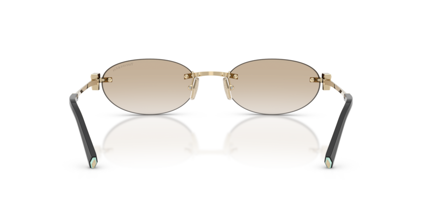 Tıffany&Co TF3119D-623911 Kadın Güneş Gözlüğü - 5