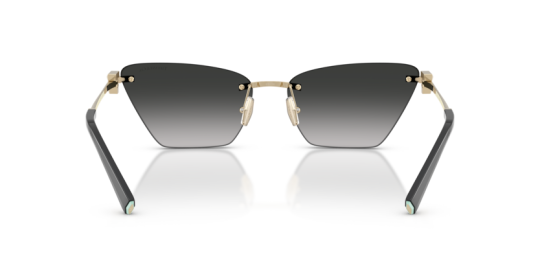 Tiffany&Co TF3120-62413C Kadın Güneş Gözlüğü - 2