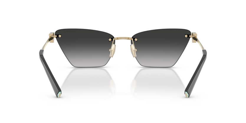 Tiffany&Co TF3120-62413C Kadın Güneş Gözlüğü - 2