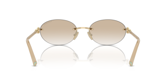 TIFFANY&CO.0TF3104D-61781156 Unisex Güneş Gözlüğü