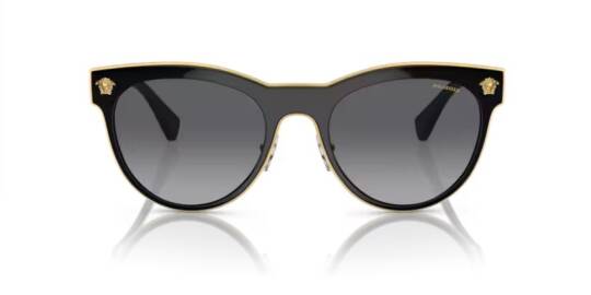 Versace VE2198-1002-T3 Kadın Güneş Gözlüğü - 4