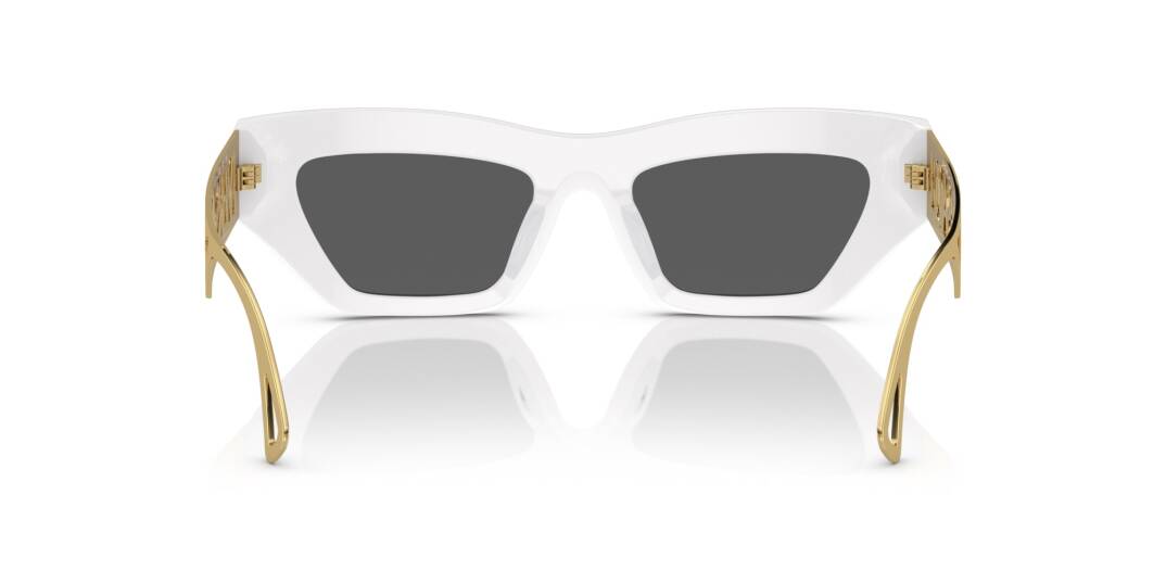 Versace VE4432-U-401-87 Kadın Güneş Gözlüğü - 3