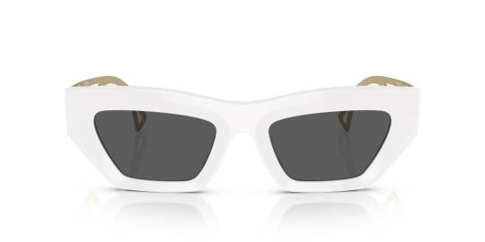 Versace VE4432-U-401-87 Kadın Güneş Gözlüğü - 4