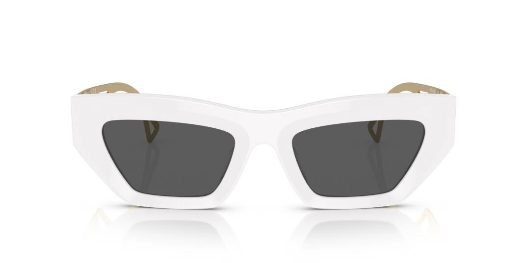 Versace VE4432-U-401-87 Kadın Güneş Gözlüğü - 4