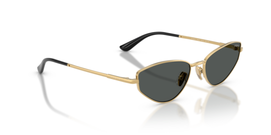 Vogue VO4339S-28087 Kadın Güneş Gözlüğü - 2