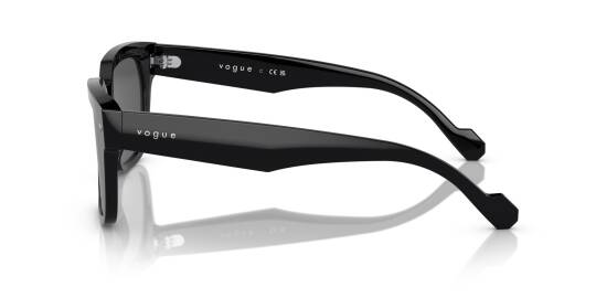 Vogue VO5490S-W44-87 Kadın Güneş Gözlüğü - 6
