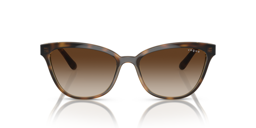 Vogue VO5496SI-W65613 Kadın Güneş Gözlüğü - 5