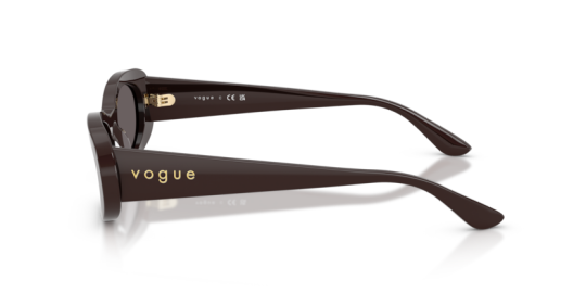 Vogue VO5582S-225287 Kadın Güneş Gözlüğü - 6