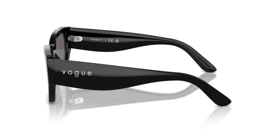 Vogue VO5586S-W4487 Kadın Güneş Gözlüğü - 6